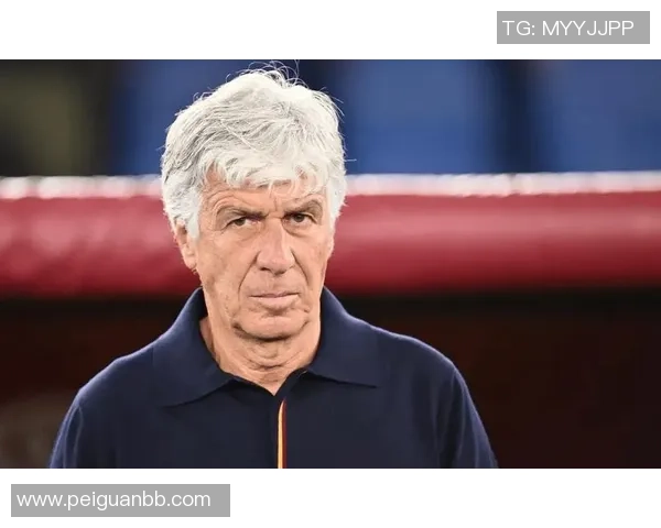 加斯佩里尼：期望弗格森能继续证明自己；冬窗咱们会进行补强